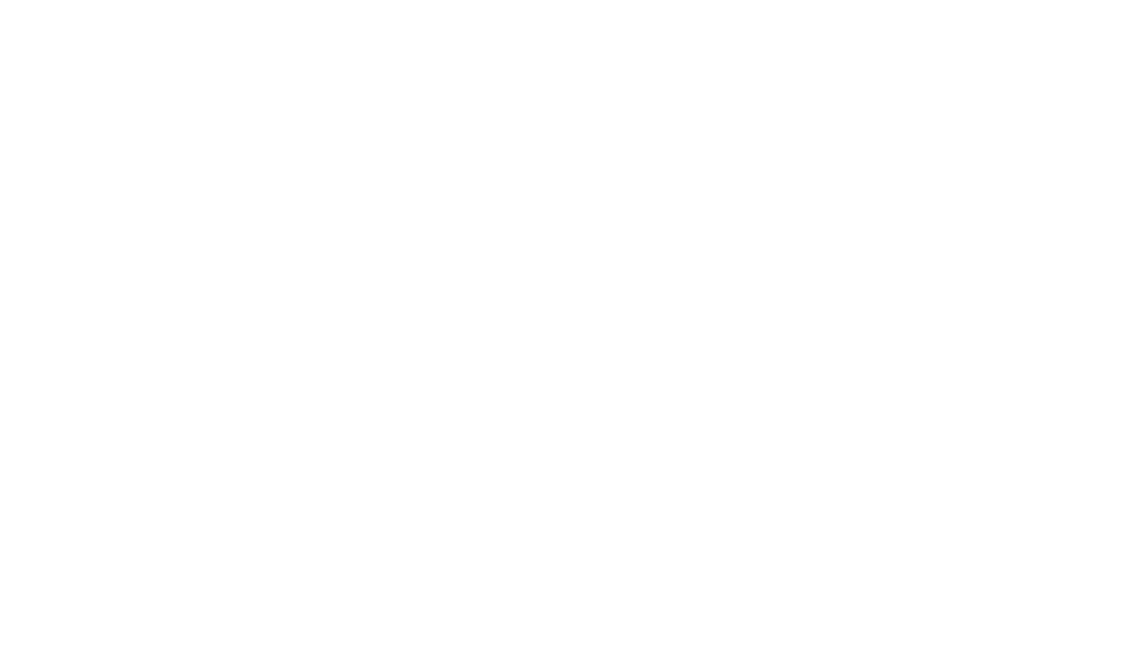 xero platinum partner logo